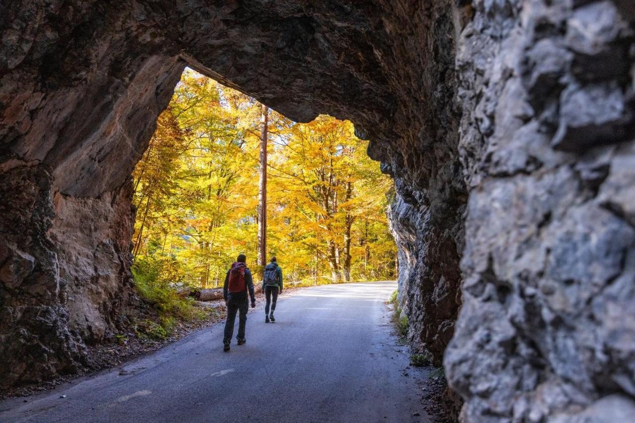 Sport & Sunny Cosy Alpine Retreat Daire Kranjska Gora Dış mekan fotoğraf